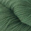 HeirloomOrganic - 177 Dill