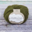 926 Moss Cumulus - 926 Moss
