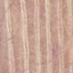 Laura - 3208 Pink