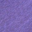 Zooey - 49-Iris.jpg