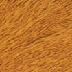 Zooey - 64 Harvest Gold