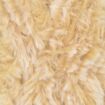 Furreal - 29 Golden Hare