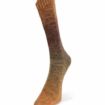 WaterColorSocks - 103
