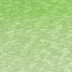 LinelloTonal - LinelloTonal - 216 Green
