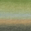 14 Meadow Merino120Degrade - 14 Meadow