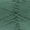 Quattro - 018 Pine