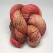 Sirocco - Moral Coral 1
