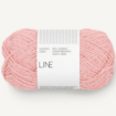 4213 Blossom Line - 4213 Blossom