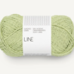 9523 Lime Punch Line - 9523 Lime Punch