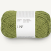 9564 Matcha Line - 9564 Matcha