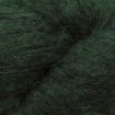AlpacaWhisper - 709 Evergreen