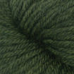 283 Forest Green Heather EstelleWorsted - 283-Forest-Green-Heather.jpg